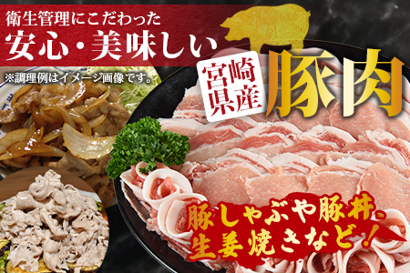 ＜宮崎県産豚ローススライス 合計1.8kg（300g×6）＞翌月末迄に順次出荷【a0404_ty】