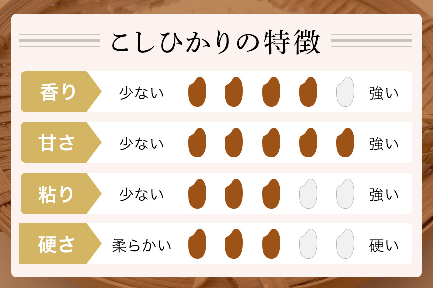 令和7年産 新米 コシヒカリ 米 10kg ( 5kg ×2 ） 白米 こめ こしひかり 国産 国産米 取り寄せ ごはん ご飯 コメ お取り寄せ お弁当 弁当 おにぎり 産地直送 特産  ギフト プレ