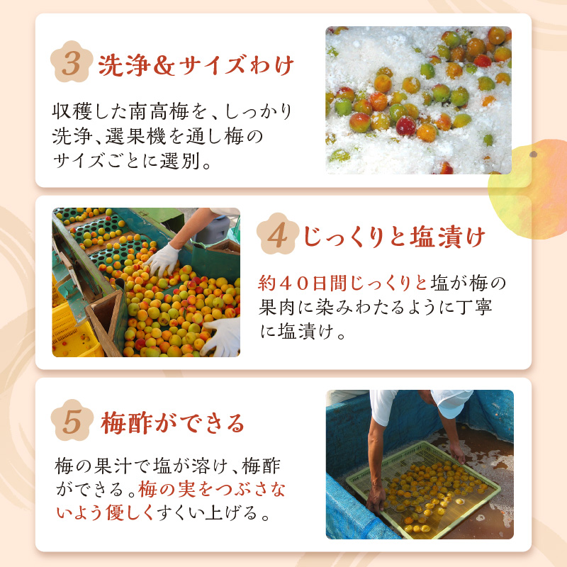 贈答 紀州南高梅 はちみつ梅木樽入り 1kg【0519-5】