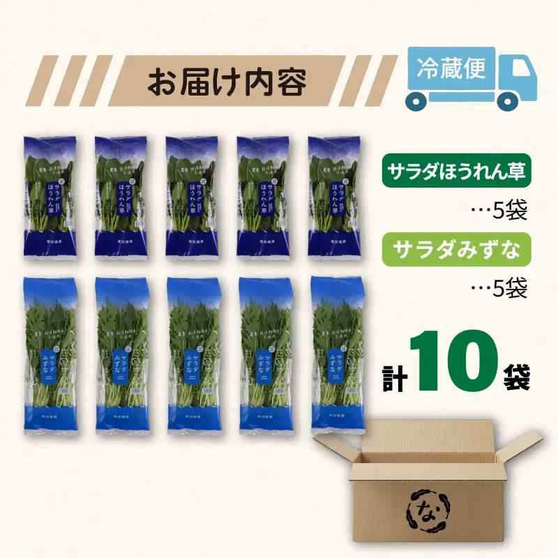 2種セット サラダほうれん草 みずな サラダセット | 水菜 ほうれんそう 水耕 栽培 新鮮 葉物 野菜 ドレッシング 南国市