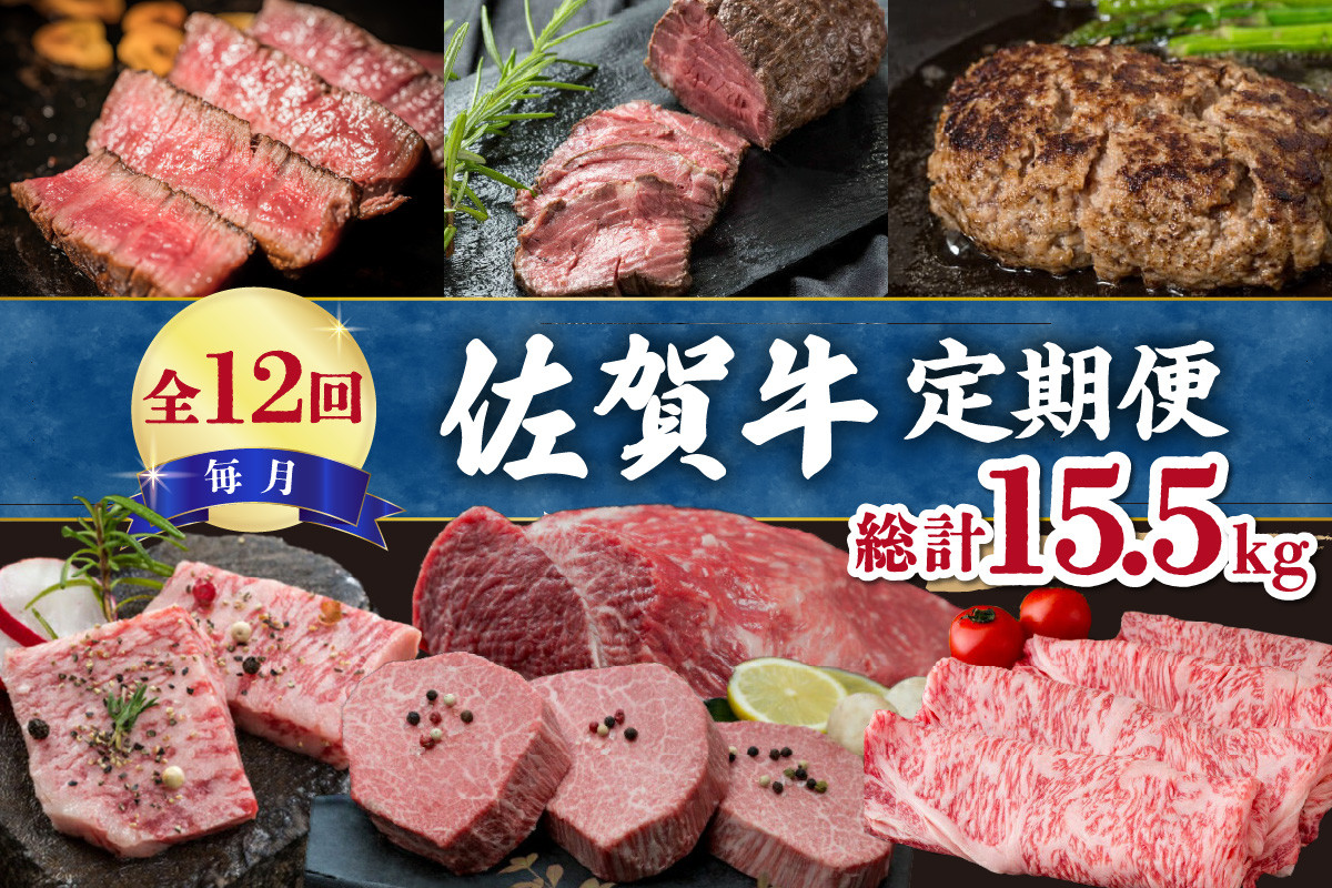 
                  【全12回】毎月お届け 佐賀牛 定期便 総計15.5kg 999-J2720
                