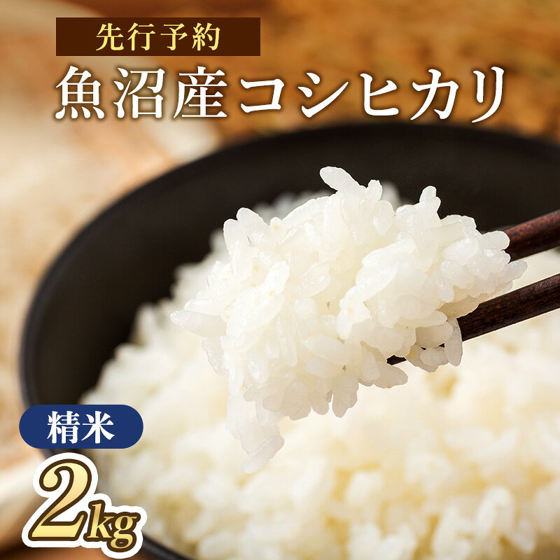 【ふるさと納税】【令和8年産 新米先行受付】魚沼産コシヒカリ 特別栽培米 （精米）2kg 米 こしひかり 魚沼市　お届け：2026年10月上旬～2027年9月下旬まで