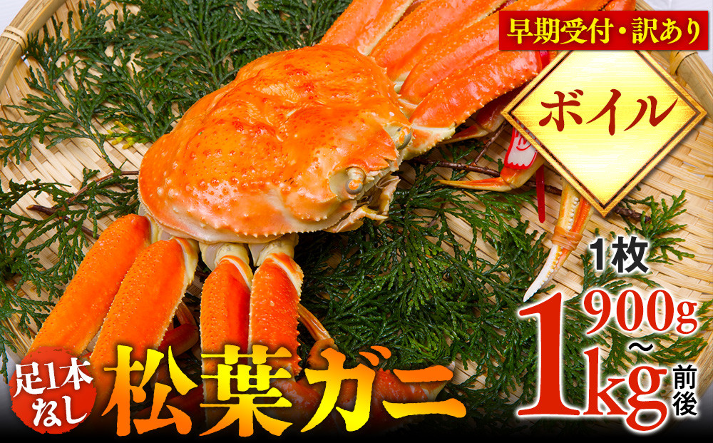 692.【早期受付】【ボイル】足1本なし　訳あり　松葉ガニ　特大1枚（900g～1kg前後）《かに カニ 蟹 ズワイガニ 》※着日指定不可※2026年11月上旬頃から順次発送予定