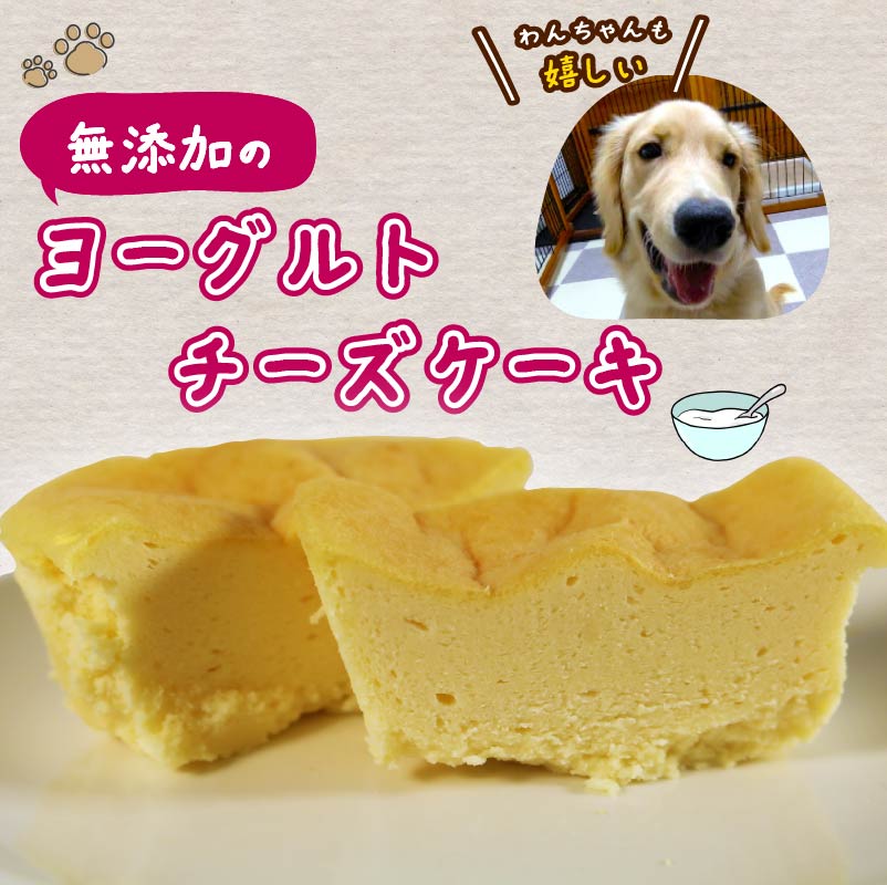 愛犬用 ヨーグルト チーズケーキ 2個 ペット ケーキ おやつ 愛犬 わんちゃん 犬用 ワンちゃん 犬 スイーツ 無添加 静岡 藤枝