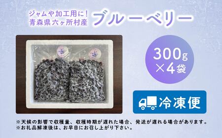 冷凍ブルーベリー300g×4袋