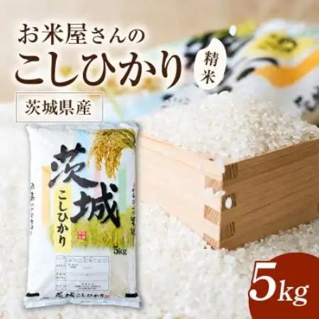 令和8年産 新米 お米屋さんのコシヒカリ 精米 5kg(1袋)【1787837】