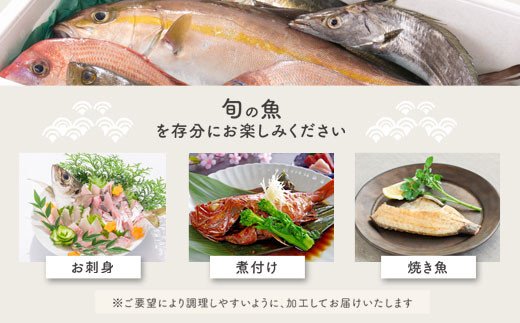 【D09002】【3回定期便】魚屋さんの選んだ新鮮お魚詰め合わせ（約6~8人分）_イメージ3