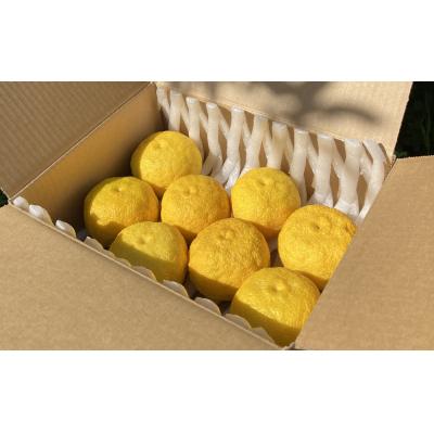 ふるさと納税 陸前高田市 【期間限定】北限のゆず(黄玉)約1kg 【 柚子 ユズ 旬 果物 料理 産地直送 岩手 陸前高田 】 |  | 03