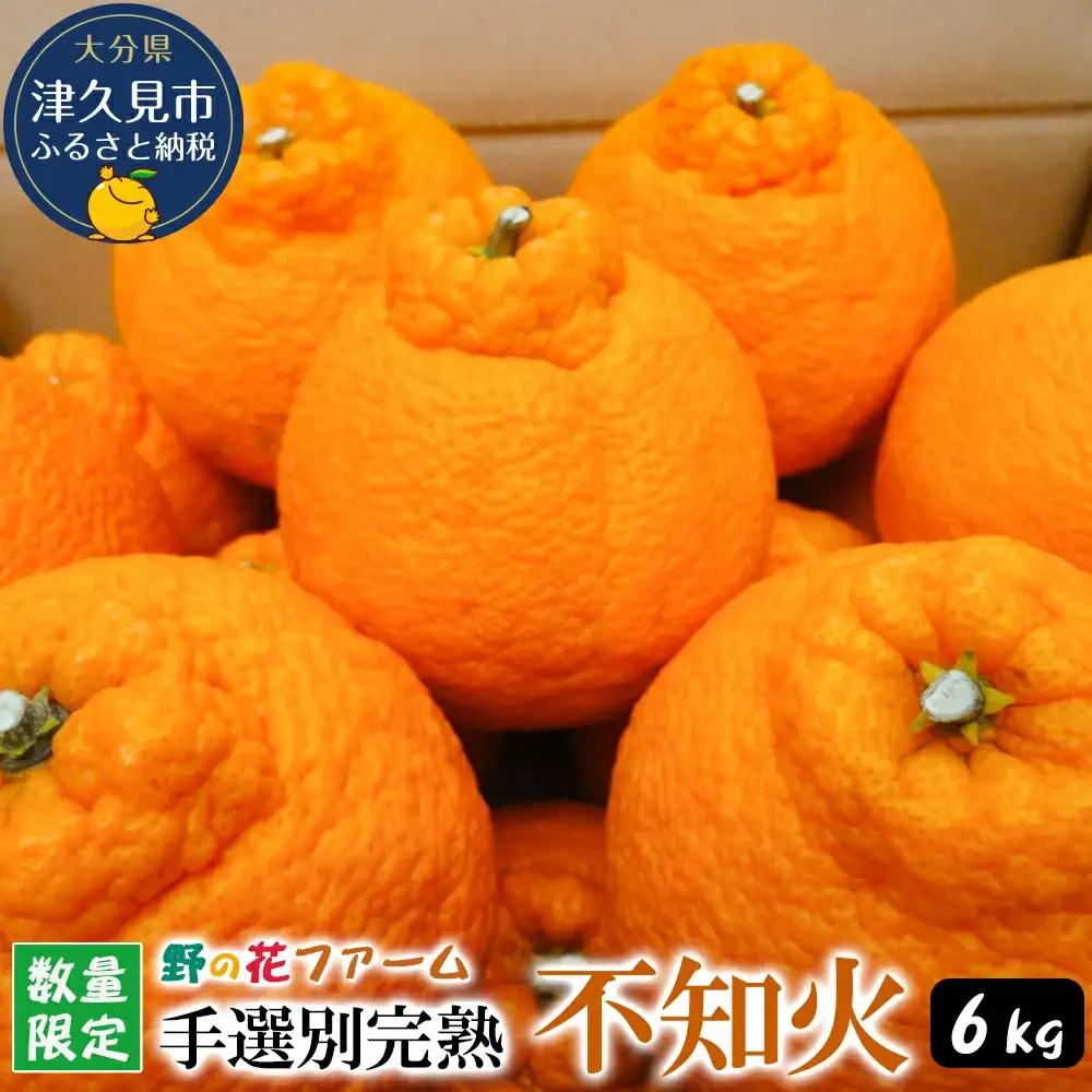 【先行予約・数量限定】不知火 みかん 6kg | みかん