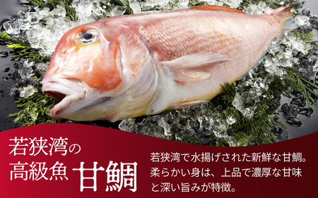 【数量限定】若狭名物 「あぶり昆布じめ 甘鯛押し寿司」1本