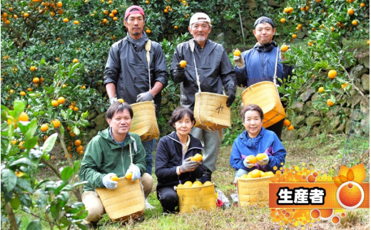 鹿蔵の 有田みかん 家庭用 わけあり 10kg+250g(痛み補償) サイズ混合 (2S〜2L) 先行予約 光センサー選果　※北海道・沖縄・離島への配送不可 / 温州みかん 痛み補償 果物 フルーツ 