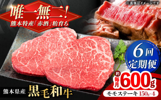 【全6回定期便】熊本県産 『原田畜産』 黒毛和牛 モモ ステーキ 計約600g（約150g×4パック） 牛肉 牛【有限会社 九州食肉産業】 黒毛 和牛 国産 モモステーキ お肉 肉 熊本県 熊本 合志 合志市 [AYCN085]