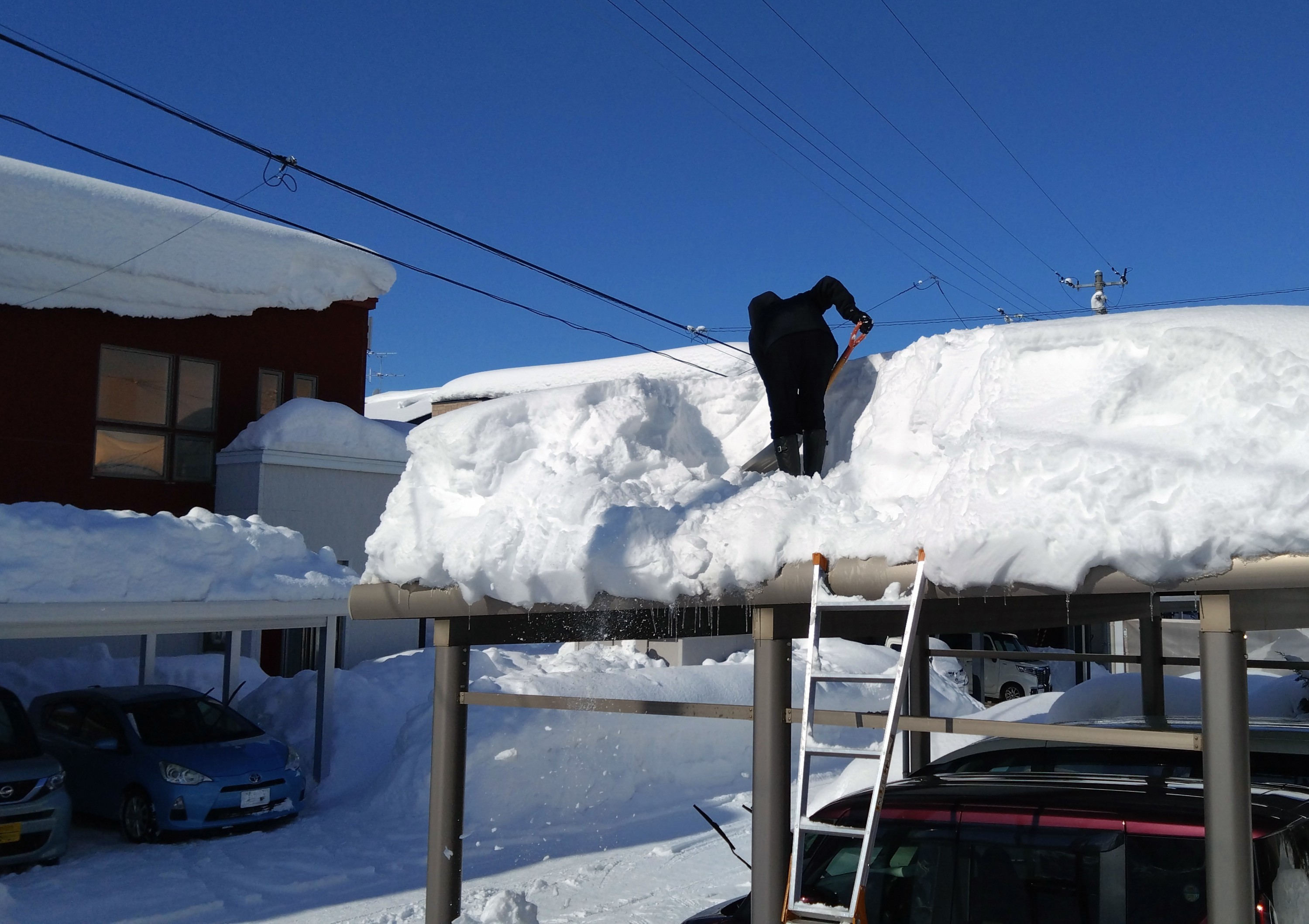 弘前市令和8年1月青森地方大雪災害支援【返礼品なし】