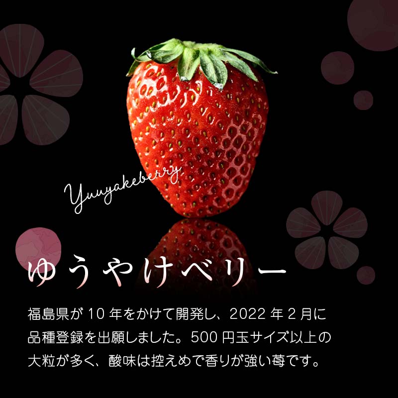 ＜限定＞新品種のいちご 福島県 オリジナル品種「ゆうやけベリー」約1kg（250g×4パック）イチゴ 苺 フルーツ 果物 伊達市  いちご イチゴ デザート くだもの 果実 食品 F20C-678