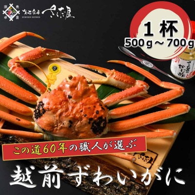 【3月より順次発送!】浜茹で越前ずわい500～700g　1杯　かに酢＆かにスプーン付き【配送不可地域：離島】【1341821】
