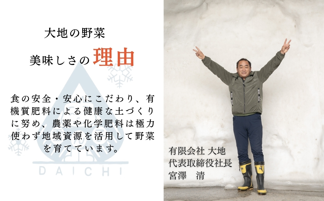 雪室熟成のじゃがいも 10kg | 津南町 有限会社大地