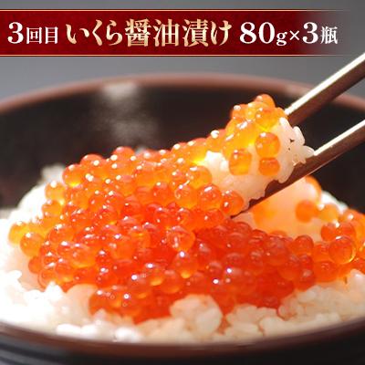 ふるさと納税 北見市 【毎月定期便】2代目漁師の人気の無添加お刺身帆立500g・イカソーメン・いくら醤油漬け全3回 |  | 03