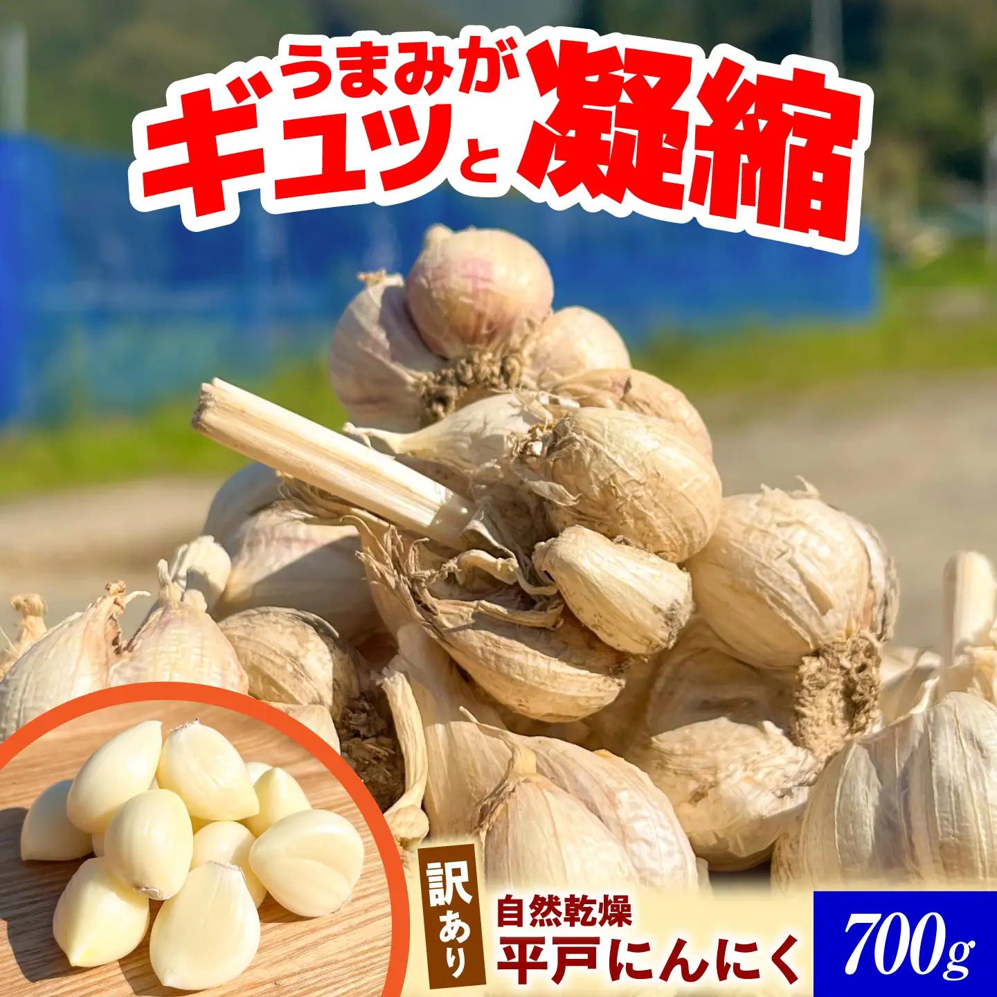 訳あり 植田ファームの自然乾燥平戸にんにく700g 〈2026年6月10日?2026年10月31日〉 高知県 土佐市【株式会社植田ファーム】[BQAT005]