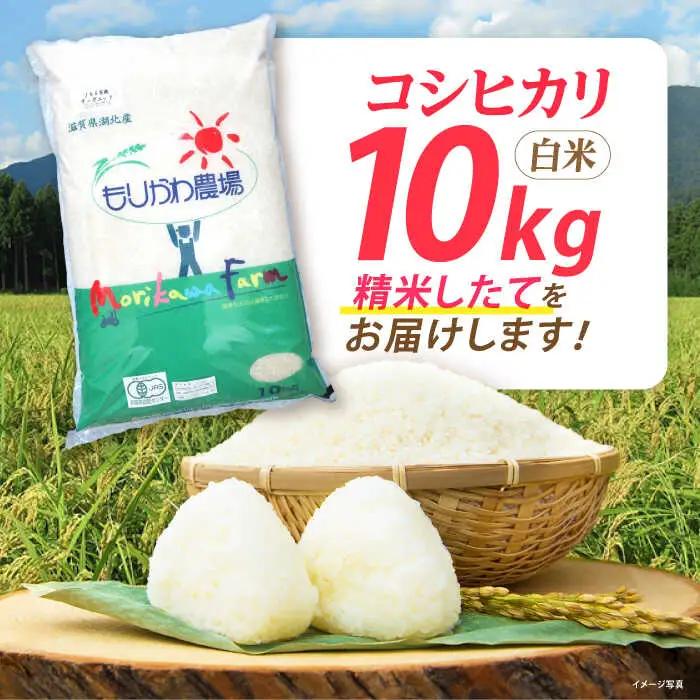 米 コシヒカリ JASオーガニック 10kg 白米 [AQBL003]こしひかり