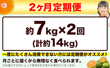 【先行予約】【2ヶ月定期便】訳あり みかん ひとくちもぎたてみかん約7kg (3.5kg×2箱)  S-3Sサイズ 訳あり S SS 3S ご家庭用 14kg 熊本県産 （荒尾市産含む） 小玉みかん 