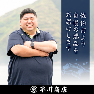 早川の生すりみセット (合計24枚・2種×各12枚) すりみ すり身 エソ アジ 鯵 魚 魚介 おつまみ おかず 弁当 惣菜 セット 大分県 佐伯市 【FK03】【(株)早川商店】