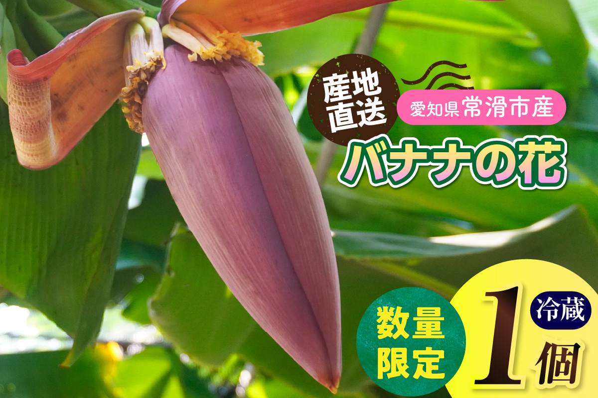 バナナの花　1個（300g以上） | バナナ ばなな 花 果物 フルーツ バナナハート 貴重 南国 産地直送 常滑市産 愛知県産 国内産 健康 就労支援 農業 アスナロファーム 農福 農福連携返礼品 愛知県 常滑市