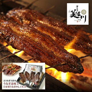 【ふるさと納税】【レビューキャンペーン対象商品】【数量限定うなぎのしぐれ煮+1個】うなぎ 蒲焼 2尾 と自家製 うなぎ の しぐれ煮 100gのセット | 活うなぎ専門「美濃川」 国産 鰻 冷凍 お惣菜 ギフト お土産 うなぎ蒲焼き 美濃川 岐阜県 美濃加茂 美濃加茂市 送料無料