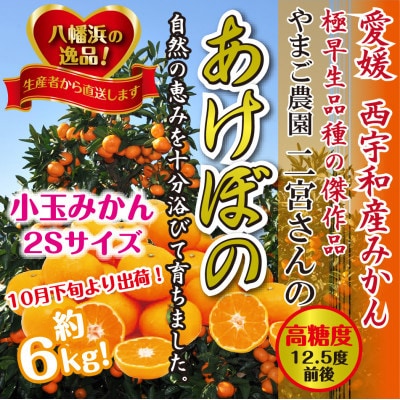 濃厚!やまご農園の「あけぼの小玉」約6kg【C39−21】【配送不可地域：離島・北海道・沖縄県】【1148837】