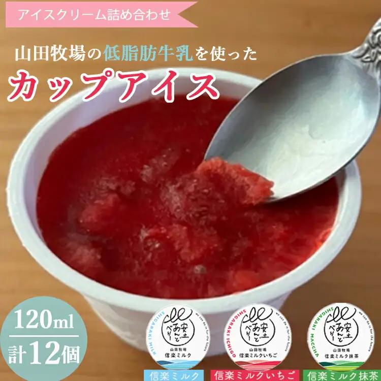アイスクリーム詰め合わせ12個入り 山田牧場の低脂肪牛乳を使ったカップアイス（プレーン、ストロベリー、抹茶）