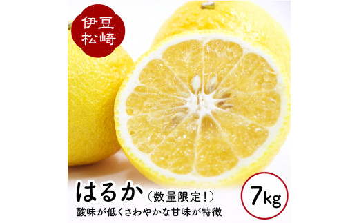 婆娑羅農産 はるか 7kg