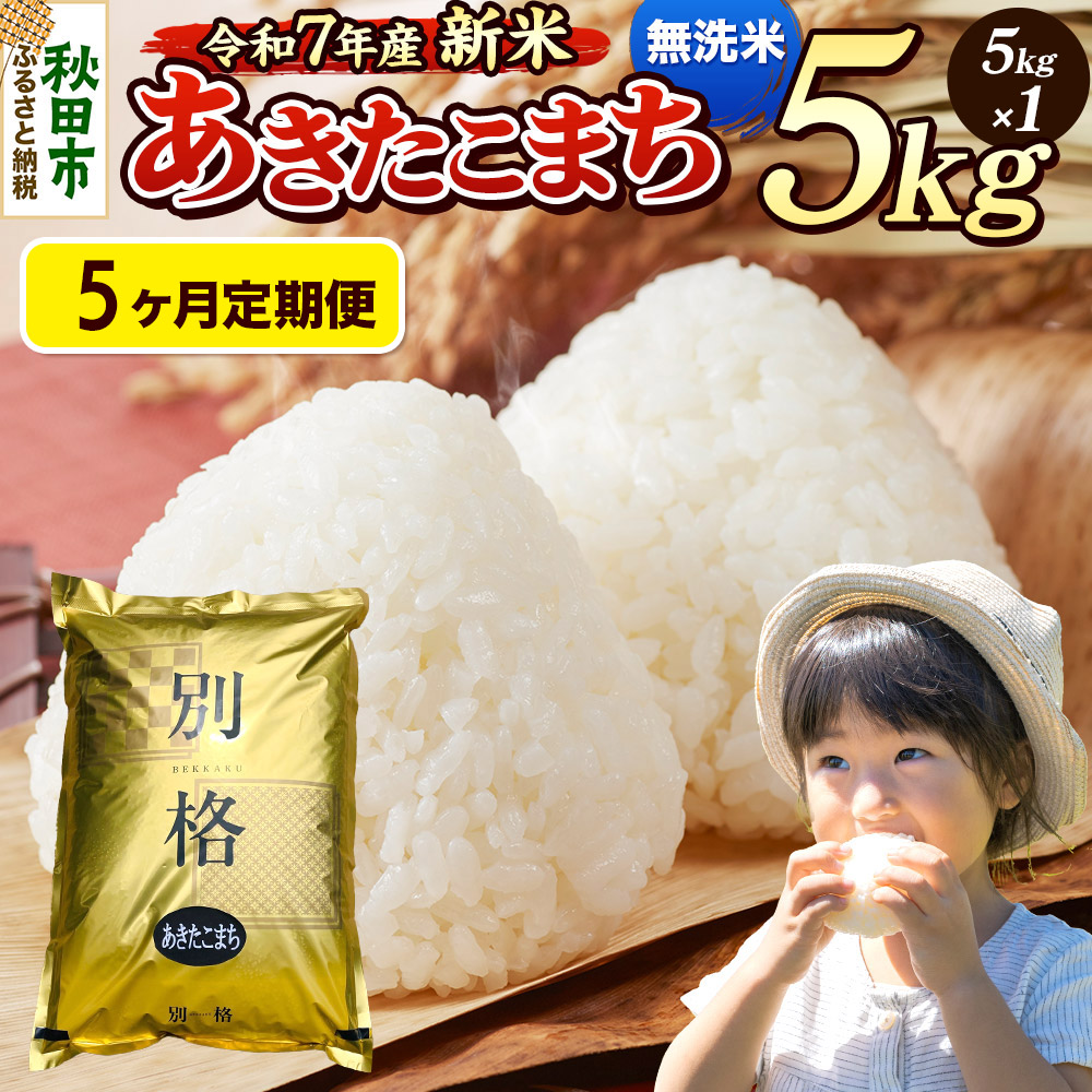 《令和7年産 新米》《定期便5ヶ月》 米 あきたこまち 5kg 【無洗米】 秋田県産