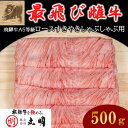 【ふるさと納税】【最飛び雌牛】飛騨牛A5等級ロースすきやきしゃぶしゃぶ用　500g【配送不可地域：離島】【1520142】