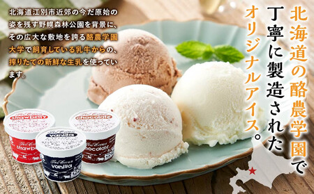 酪農学園大学アイス16個セット（各100ml） ｜ ジェラート ジェラート 乳製品   EB8-0135