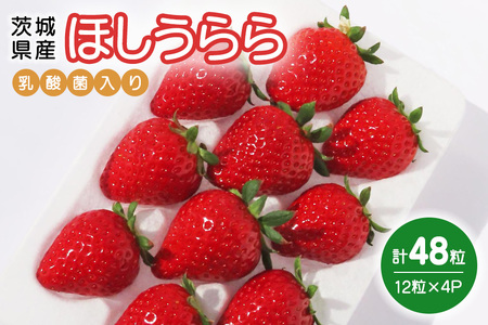 ほしうらら　『乳酸菌入りいちごパック』　12粒×4 19-P
