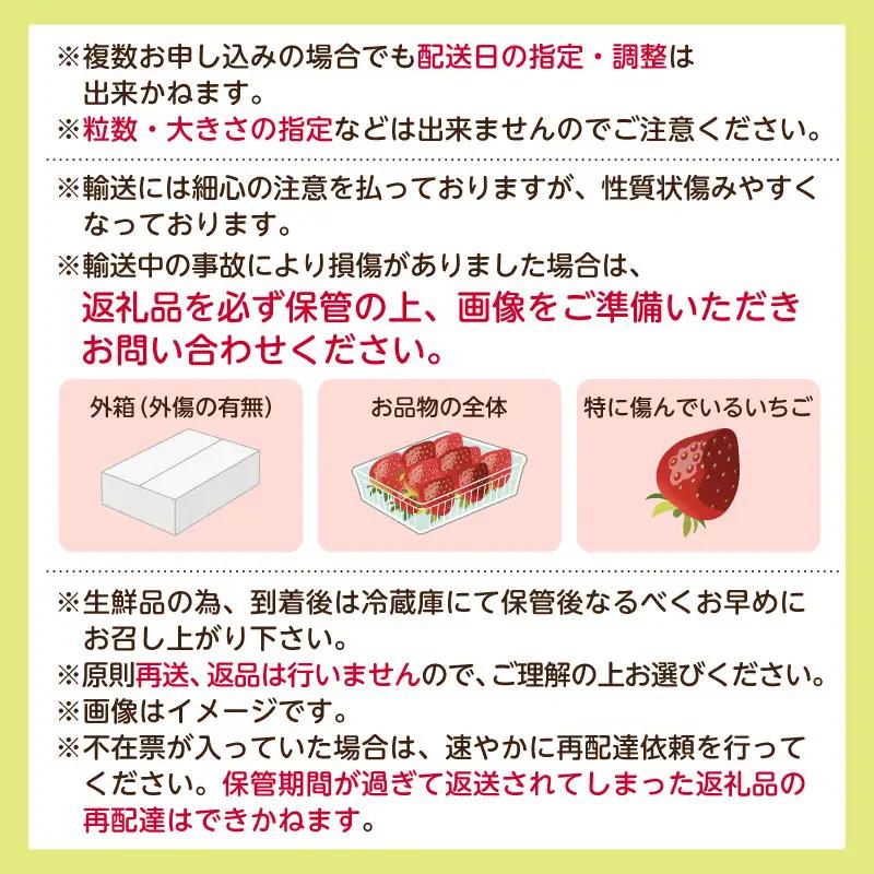 【先行受付】栃木県産　とちあいか約250ｇ×4パック【栃木県共通返礼品】【2027年1月下旬～発送予定】　ns120-001 いちご とちあいか 