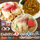 【ふるさと納税】ほっきごはんの素 1パック ホッキ貝ごはん Sサイズ 2個 ホッキカレー 1人前 200g 2パック 詰合せ 北寄 ほっき ホッキ 貝 炊き込みご飯 素 ご飯 カレー 惣菜 総菜 おかず 簡単 調理 認定特産品 北起屋 北海道 苫小牧市 おすすめ ランキング プレゼント ギフト