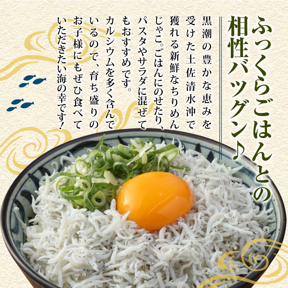 岡本水産加工のちりめんじゃこ（170ｇ×3袋）冷凍便 シラス 無添加 釜揚げ しらす丼 ちりめん丼【R00017】