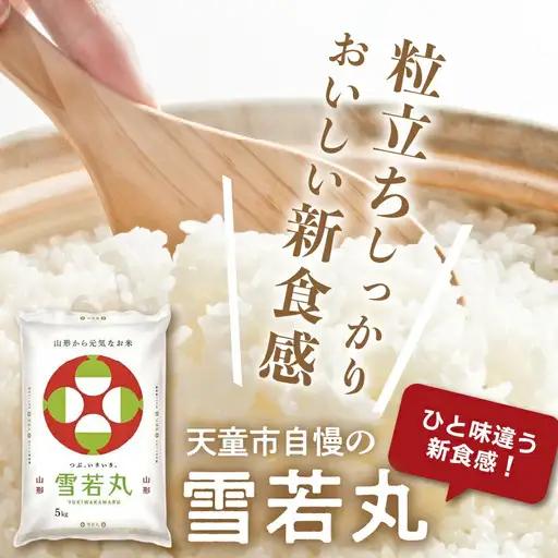 【8月下旬発送】令和7年産 雪若丸 20kg 米 精米 山形