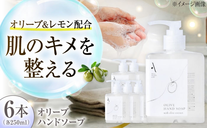 
                  オリーブハンドソープ【AKI no SHIMA no MI】250ml×6本 美容 ボディケア ハンドケア 江田島市/リベラグループ [XAJ115]
                