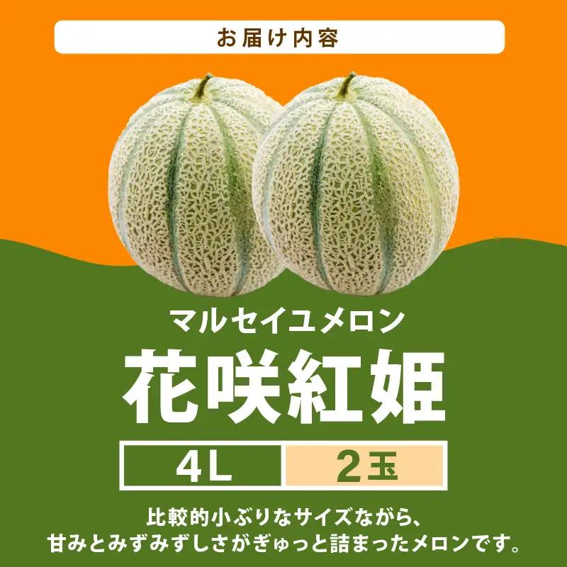 【先行予約】マルセイユメロン 2玉入 4Lサイズ ／ メロン フルーツ 果物 赤肉 花咲紅姫 贈答用 プレゼント 贈り物 国産 期間限定 産地直送 人気 ※2027年6月中旬より順次発送 [aw003