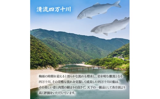 四万十川上流の天然鮎　釣り鮎【冷凍5～18尾】【着日指定不可】Esj-42k