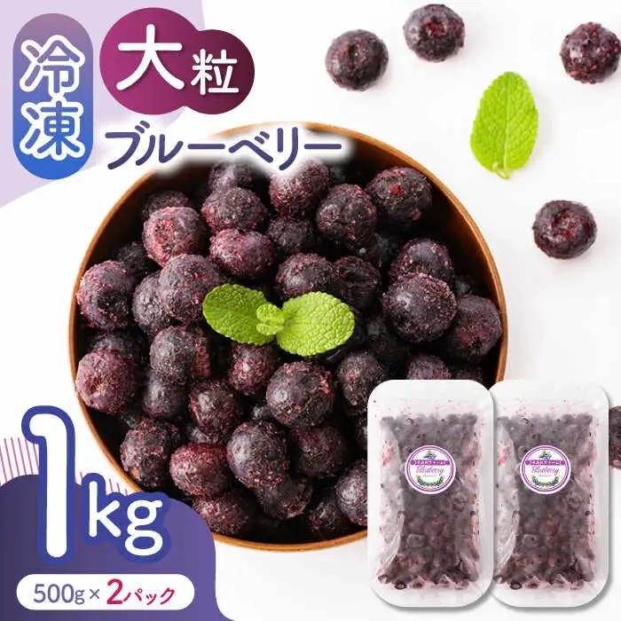 大粒 冷凍ブルーベリー 約1000g（約500g×2pc） 【すみれファーム】果物 フルーツ くだもの 大粒 小分け 熊本県産ブルーベリー [ZEP007] 