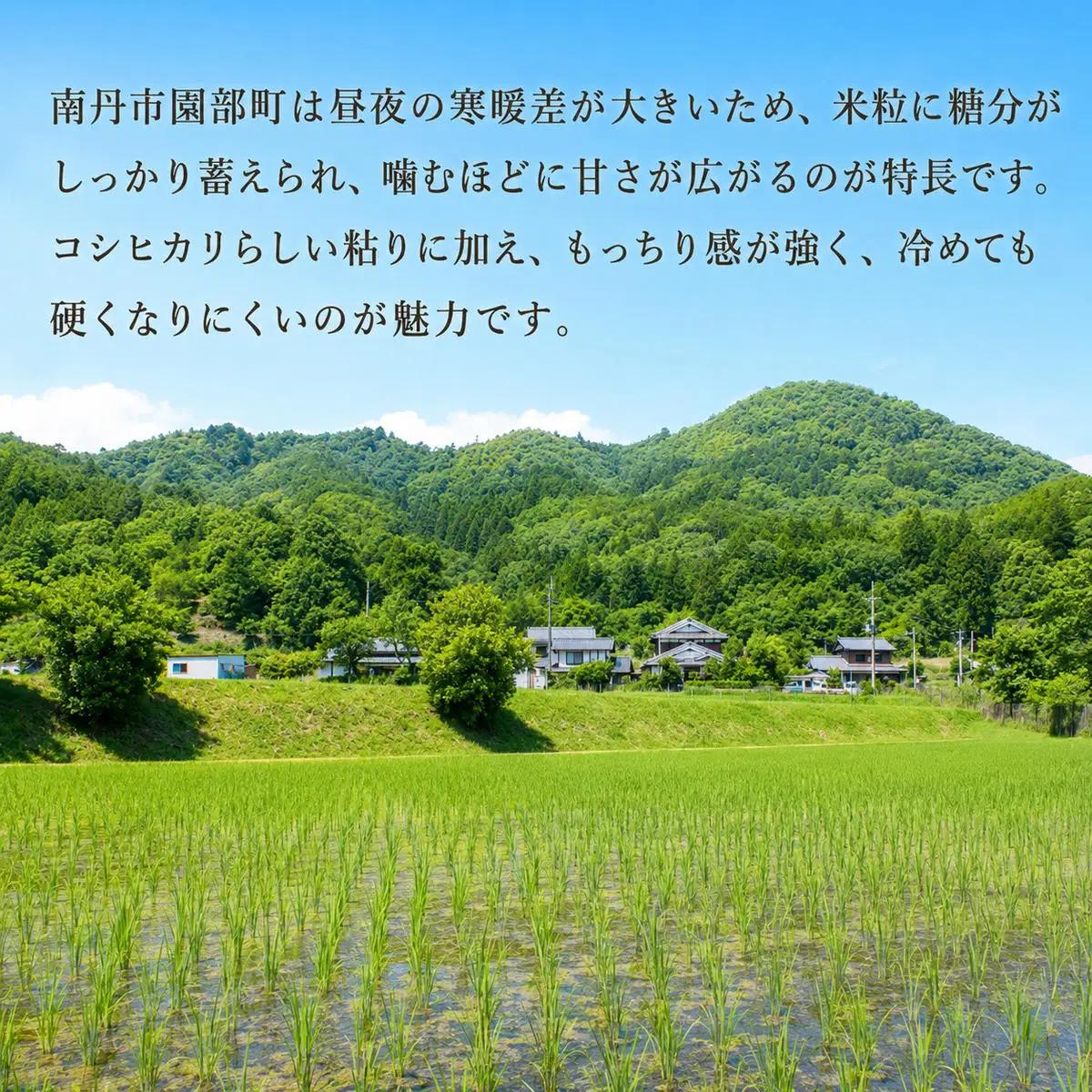無洗米 コシヒカリ 10kg 米 お米 京都丹波産 無洗米