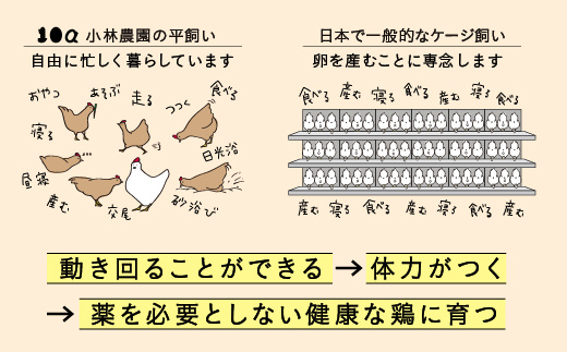 1年間定期便！無投薬・自然養鶏・平飼い卵２５個×1年間　