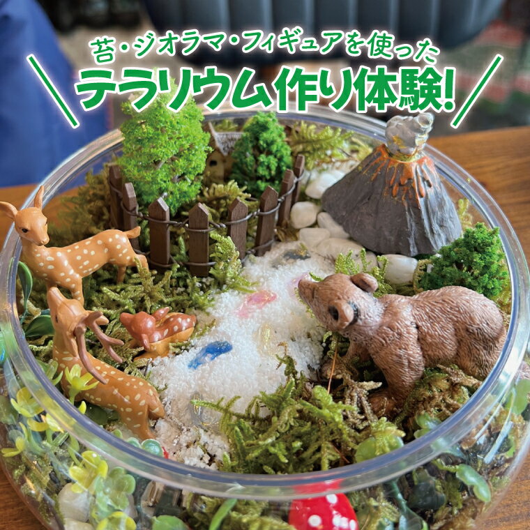 【ふるさと納税】苔（コケ）とジオラマ、フィギュアを使ったテラリウム作り体験！【苔テラリウム ハンドメイド ワークショップ オリジナル 水戸市 茨城県】（MW-1）