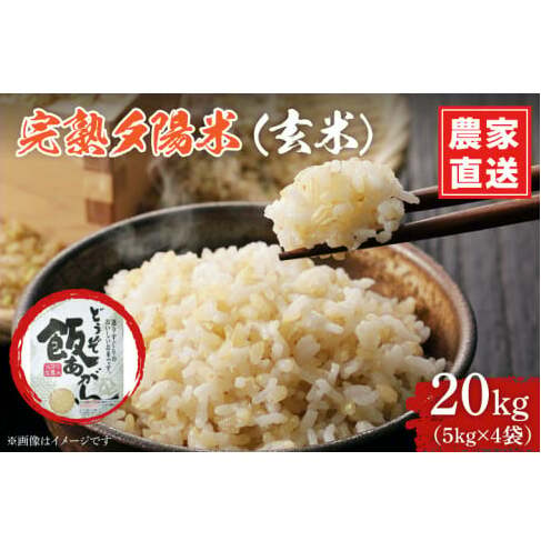 ＼新米 令和7年産／ 完熟夕陽米 (玄米) 20kg (5kg×4) ひとめぼれ 特別栽培米 生産農家直送 (CP036)