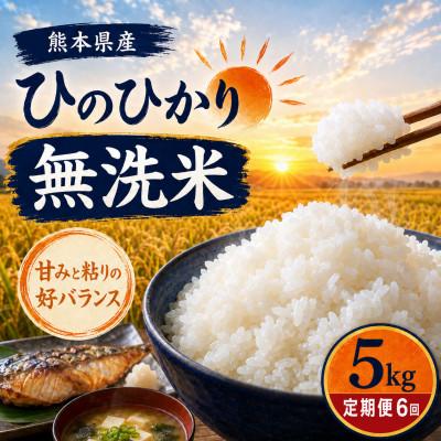 ふるさと納税 和水町 【毎月定期便】熊本県産 ひのひかり 無洗米 5kg全6回