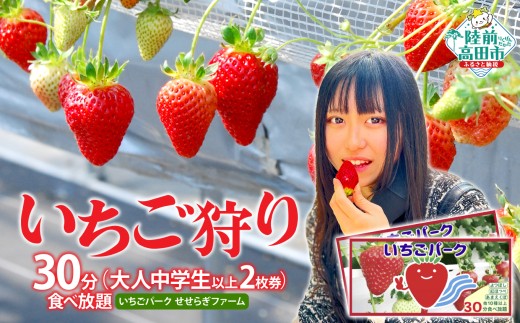 （大人中学生以上 2枚券）いちごパーク いちご狩り30分食べ放題ペアチケット