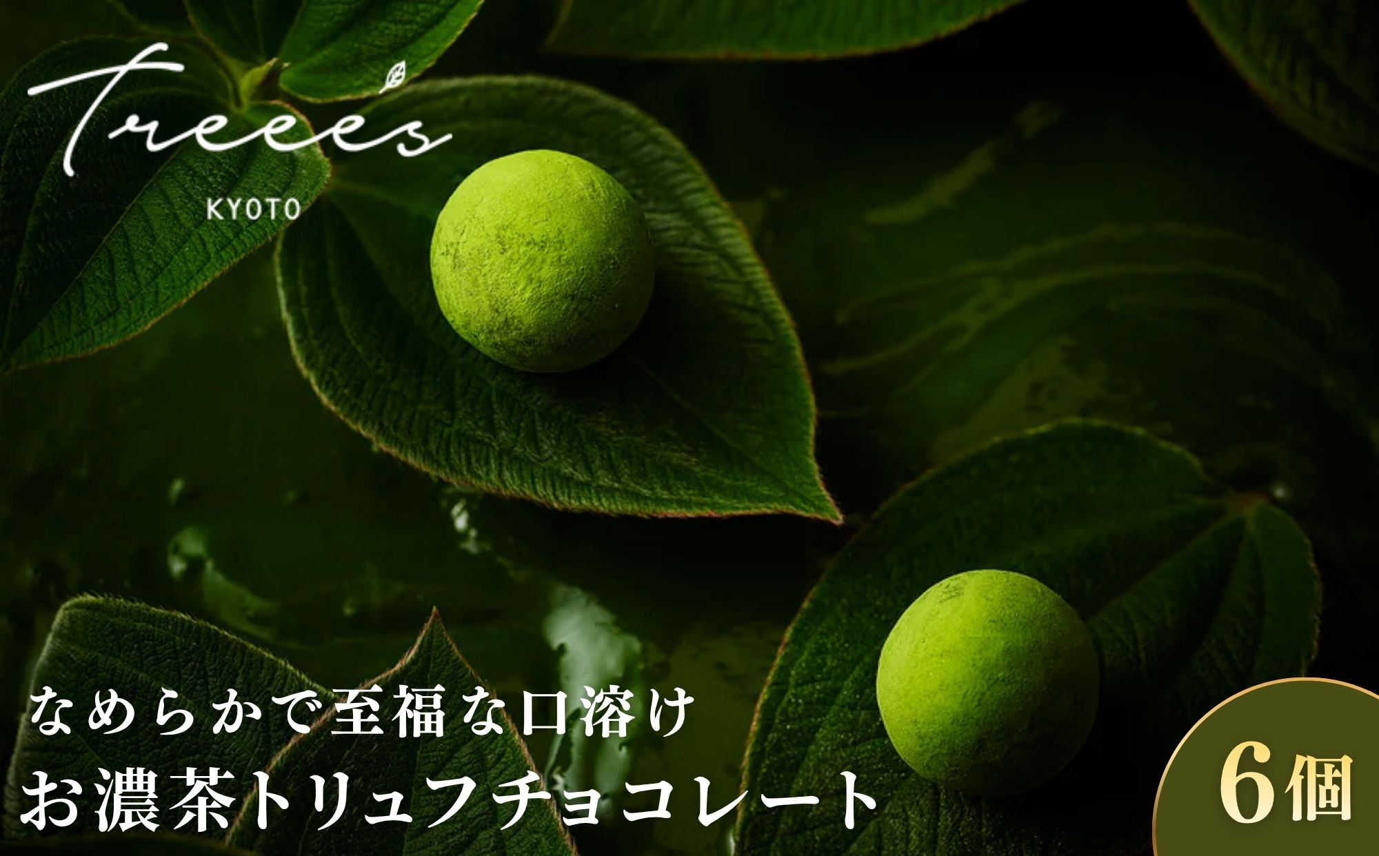【TREEE’S】お濃茶トリュフチョコレート 6個 ｜京都 スイーツブランド レビュー高評価 人気 抹茶スイーツ［ 京都  お茶 ワインソムリエが作るチョコレート チョコ オーガニック  人気 おすす