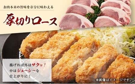 産地直送 宮崎県産 ホエー豚 厚切りロース とんかつ用 計1kg（200g×5枚） 国産 豚肉